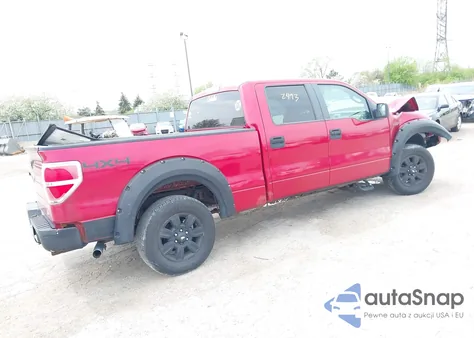 2009 Ford F-150 Xl/Xlt z USA, uszkodzony, nr VIN 1FTRW14819FB03479